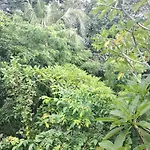 Utari House