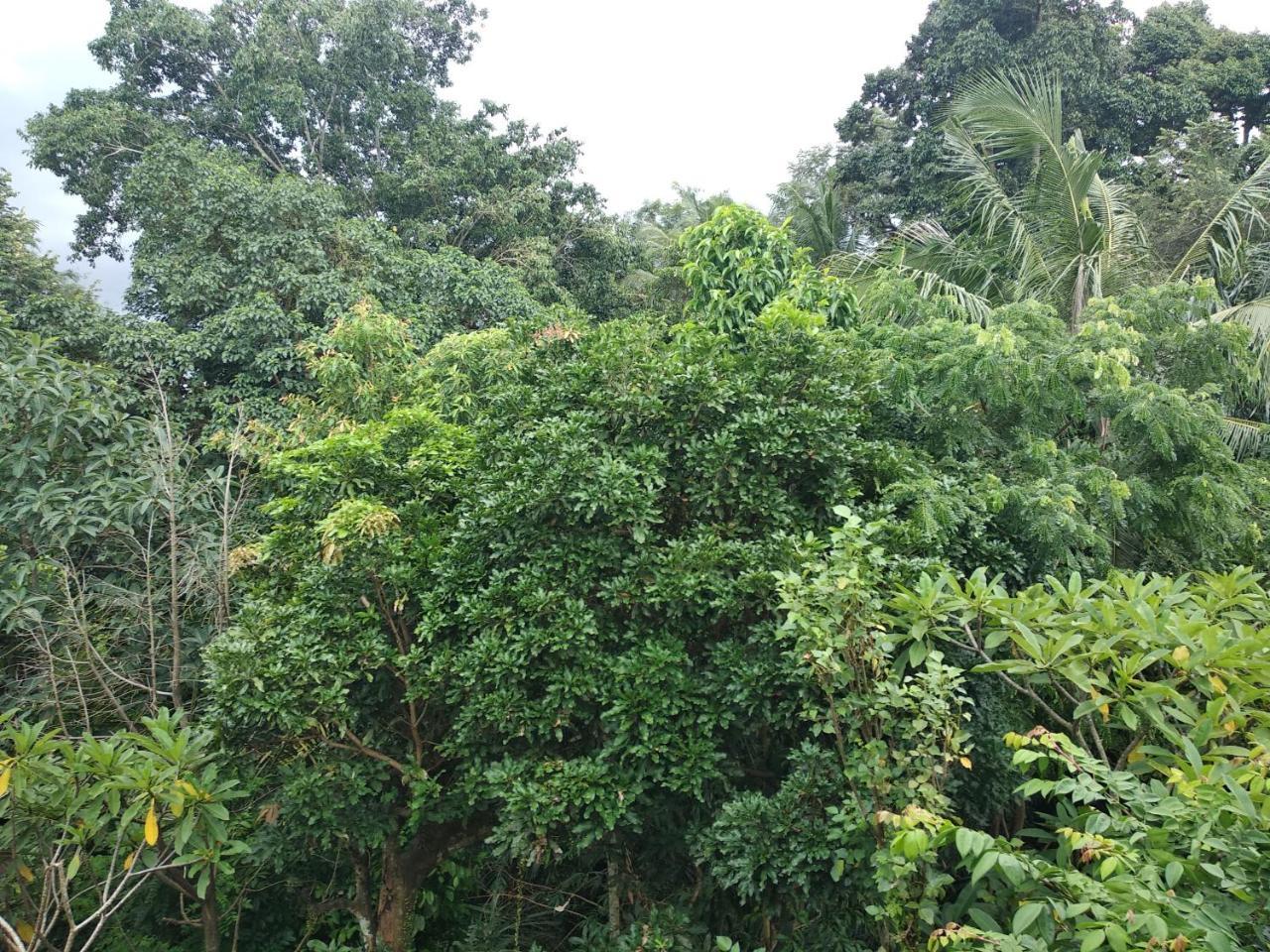 Wisma tamu Utari House