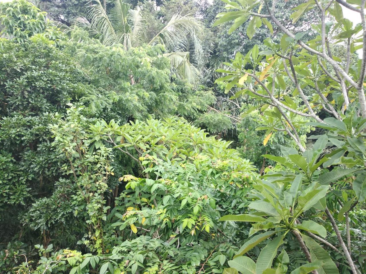 Casa de hóspedes Utari House *